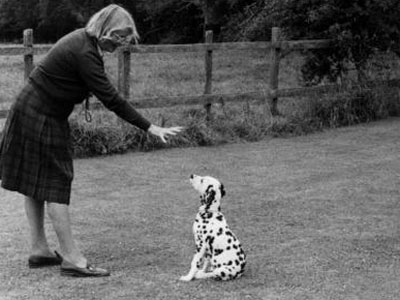 Barbara Woodhouse