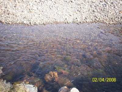 crystal clear