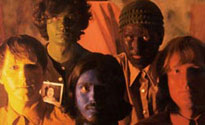 Olivia Tremor Control