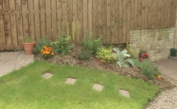 The flower bed.