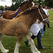 Royal Highland Show 2010