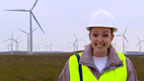 A wind farm