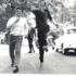 1967 - Stephen Welch