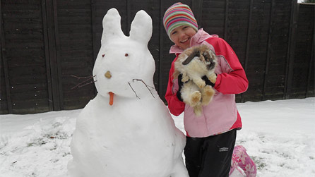 snow_rabbit.jpg