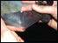 bat