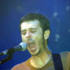 Guillemots