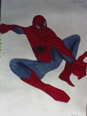 Spider in action