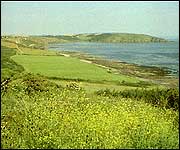 Wildlife haven 