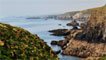 Pembrokeshire coast Image by Tia Maria