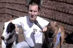 hound-tv2.jpg