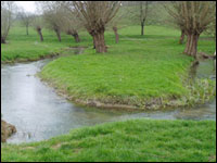 Radford Bridge