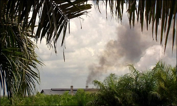 Palm Oil Production Factory in South East Asia