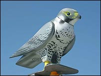 Falcão robô