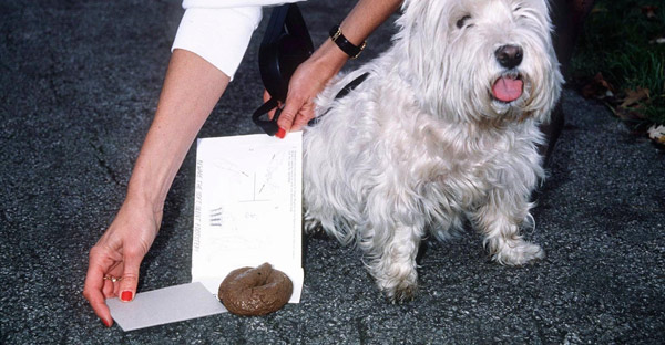 Doggy do
