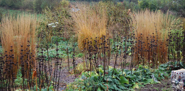 Autumnal prairie boarder