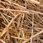 Straw