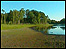 Brown Moss nature reserve