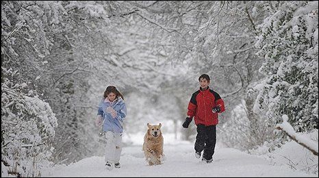snow.jpg