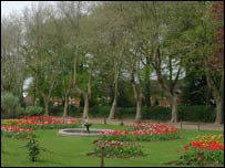 Plane trees