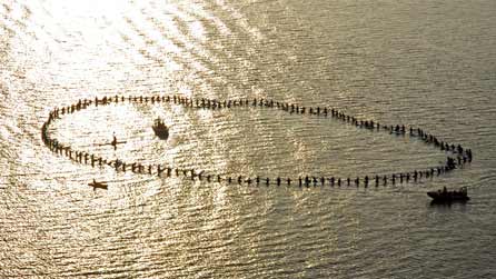 surfer_chain_sunlight.jpg