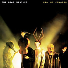 Review of Sea of Cowards 