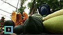 Squash