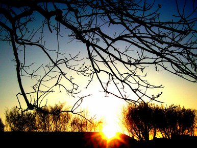 Sunlight silhouette