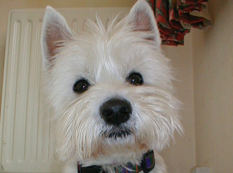 Posing for the camera