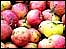 apples from Doncaster Farmers Market