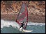 Sailboarder