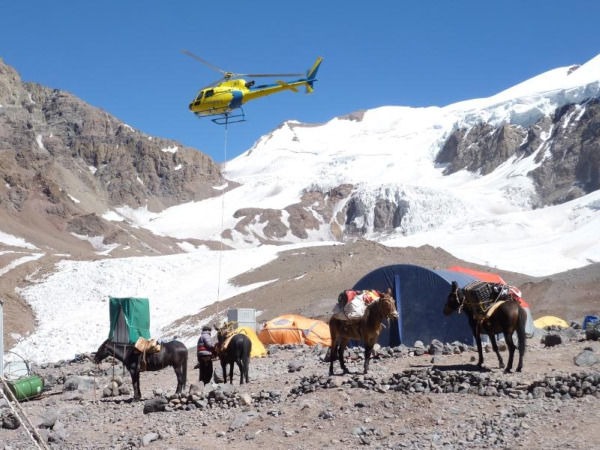 choppers_and_mules.jpg