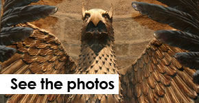 See the photos