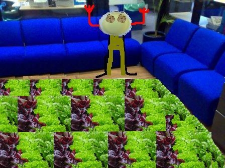 glassboxdsoup.JPG