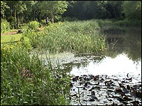 denso marsden lake