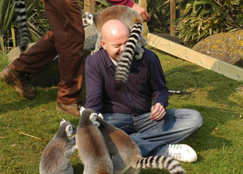 whipsnade2.jpg