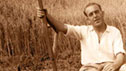 Murchadh MacLeòid (Murd' an Fhèilidh)