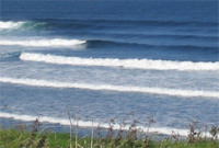 semtex point
