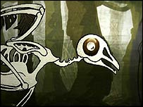 Skeletal bird