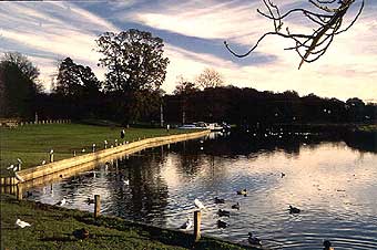 river at Coltishall - please wait while image downloads. 