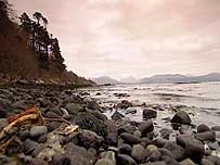 Morven coast