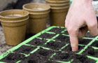 preparing tray
