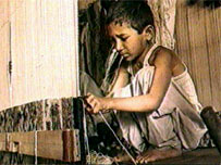 blo_umber_carpetweaver_chil.jpg