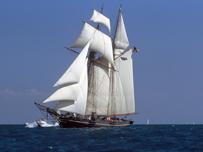 The Amistad