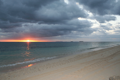 blog1097.gif