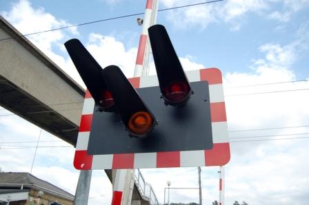 crossing.JPG