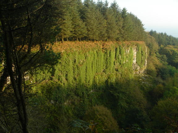 Gorge