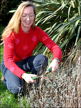 Jenny Hendy