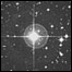 Estrela