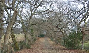 Llonydd gorffenedig
