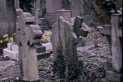 Graves.jpg